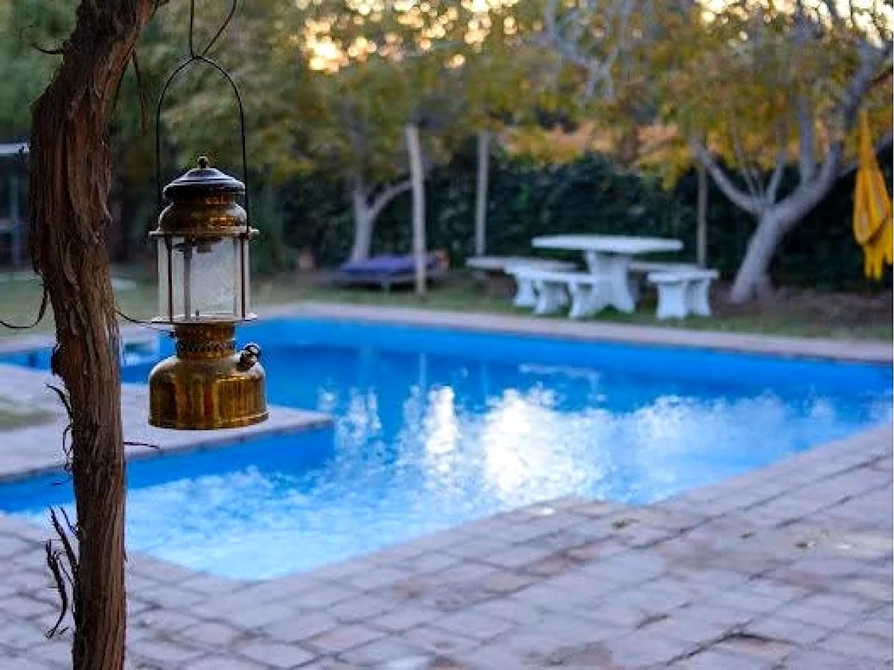 Dos Casas Amobladas Exquisítamente Dentro De Un Gran Predio. Chimbas