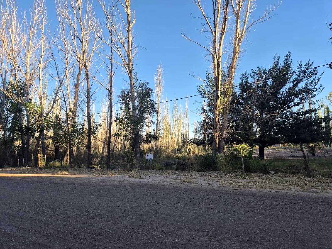 Terreno 11.000m2, Ideal Uso Comercial- Barreal